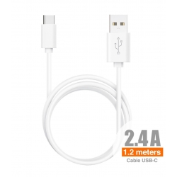 IDUSD ECO Cable USB-C 1,2M 2,4A - C13B